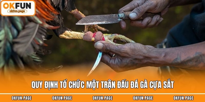 Quy định tổ chức một trận đấu đá gà cựa sắt